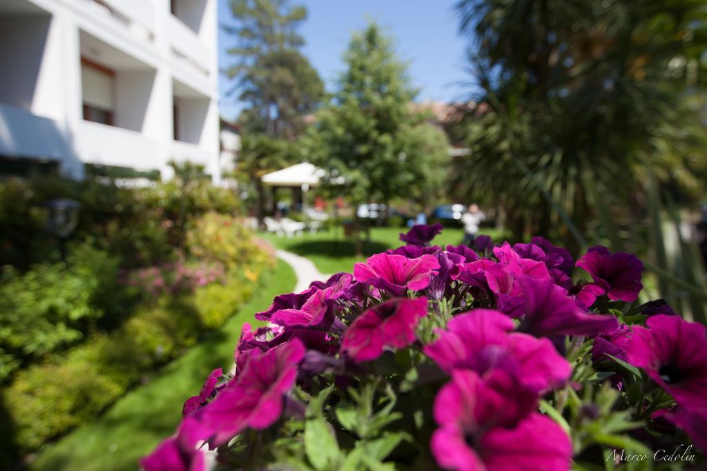 Hotel Mar Del Plata Grado Ngoại thất bức ảnh